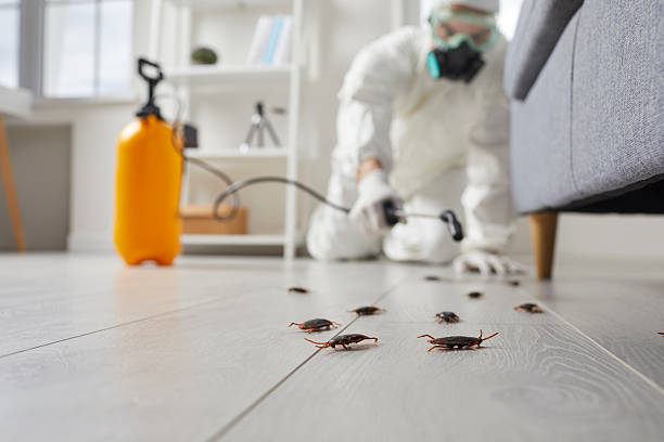Commercial Kitchen Cockroach Control in Blairsville